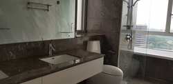 Sky@Eleven (D11), Condominium #185171362